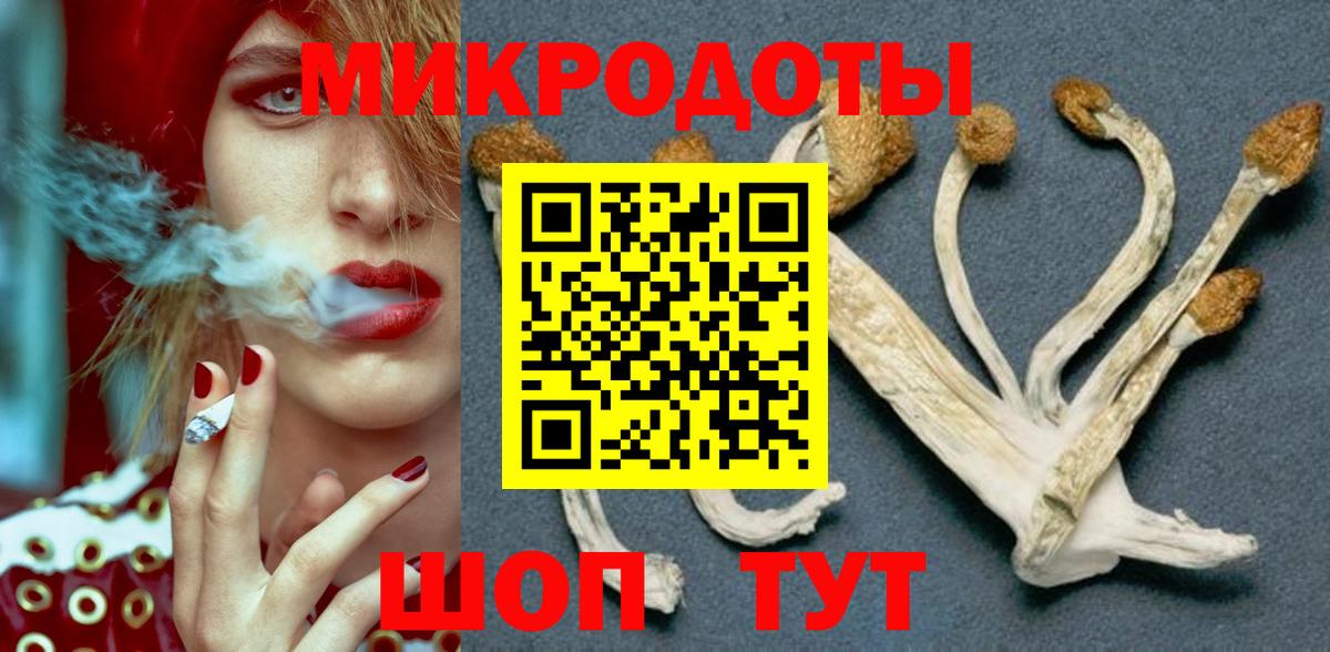 Галлюциногенные грибы Cubensis  Вход с VPN  Псилоцибиновые грибы MAGIC MUSHROOMS  закладки  Прохладный 