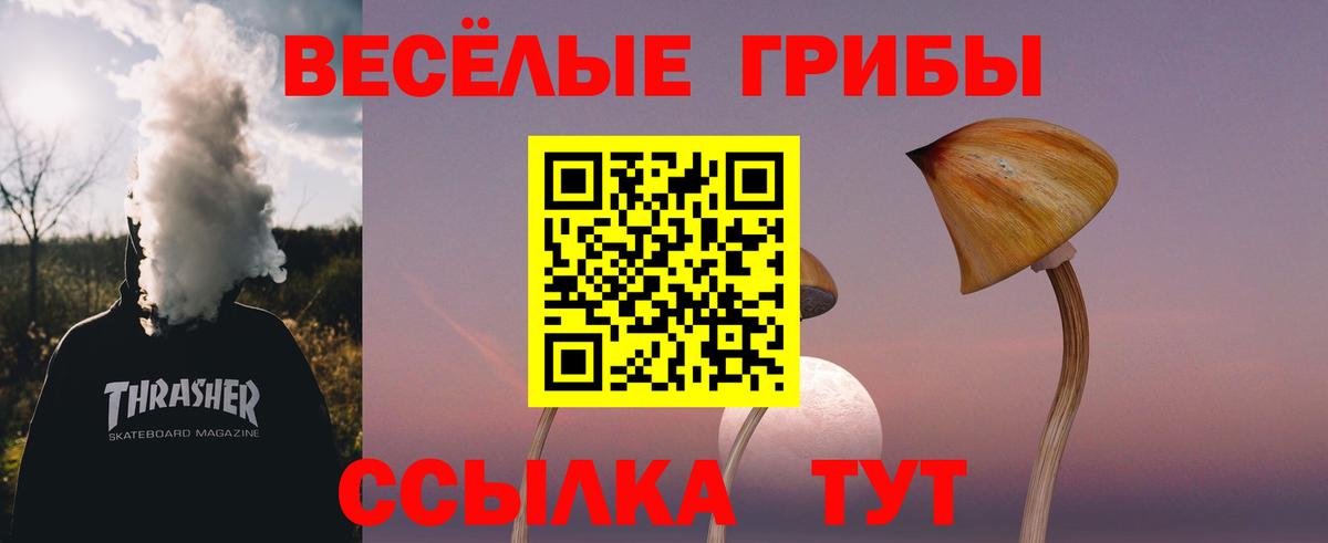 Псилоцибиновые грибы Cubensis Прохладный